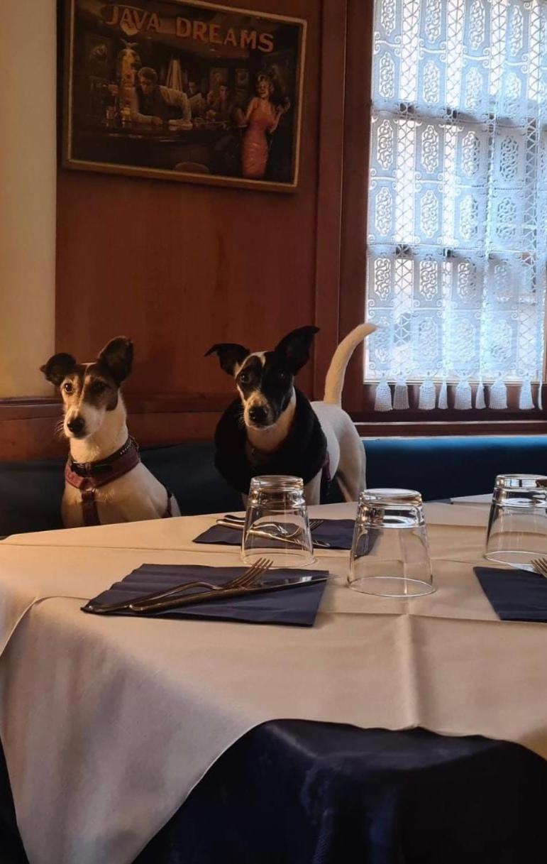 Hotel La Piazzetta Vidiciatico Eksteriør billede